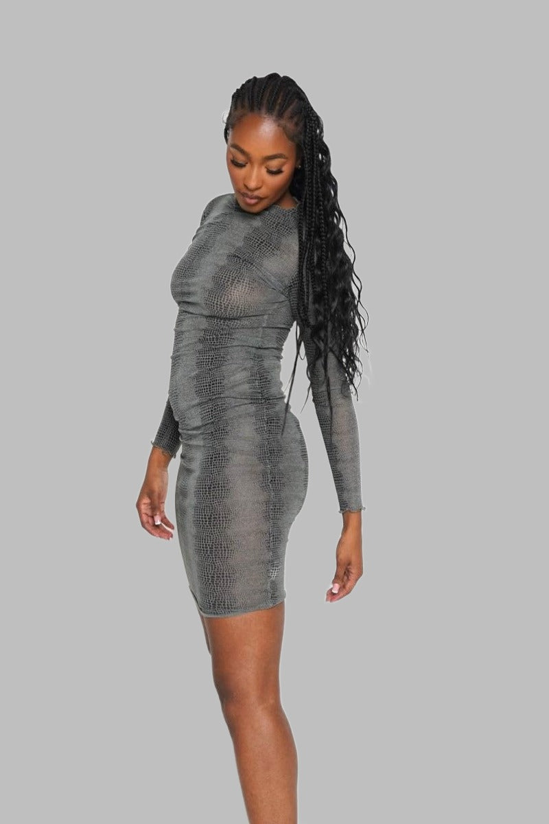 Long Sleeve Snake Slightly Sheer Party Dress